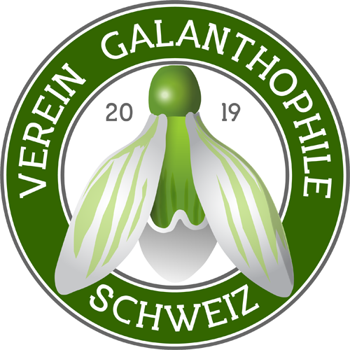 Galanthophile Schweiz